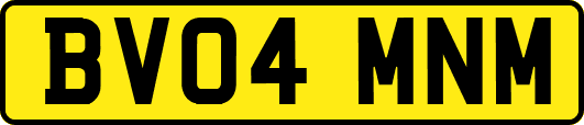 BV04MNM