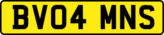 BV04MNS