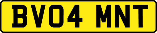 BV04MNT