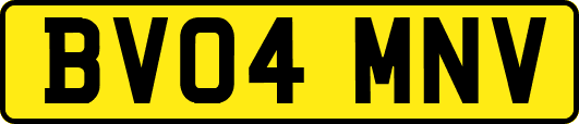 BV04MNV