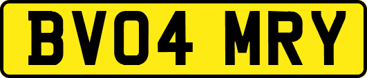 BV04MRY