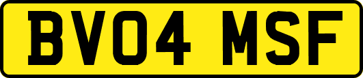 BV04MSF