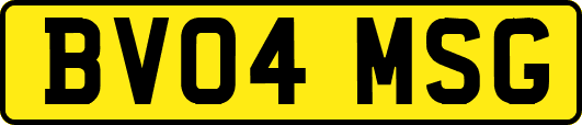BV04MSG
