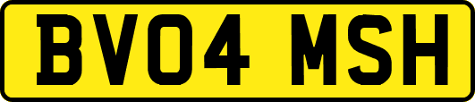 BV04MSH