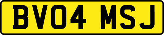 BV04MSJ