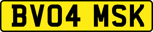 BV04MSK