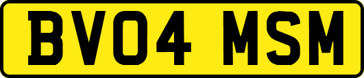 BV04MSM