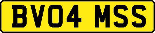 BV04MSS