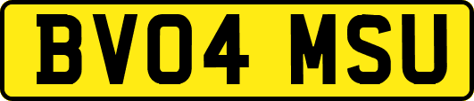 BV04MSU