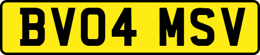 BV04MSV
