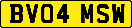BV04MSW