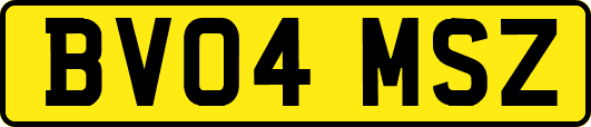 BV04MSZ