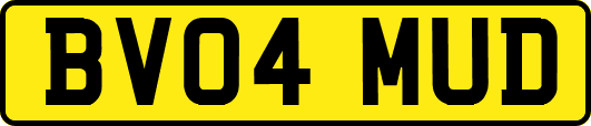 BV04MUD