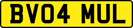 BV04MUL
