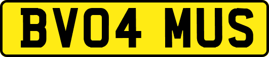 BV04MUS