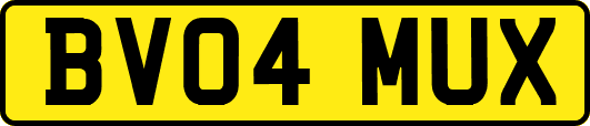 BV04MUX