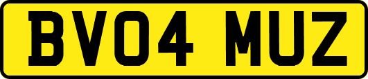 BV04MUZ