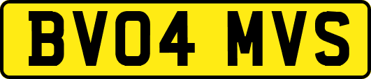 BV04MVS