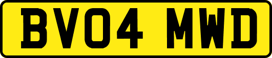 BV04MWD