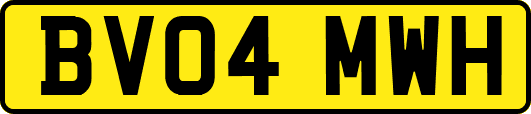 BV04MWH