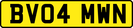 BV04MWN