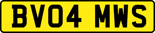 BV04MWS