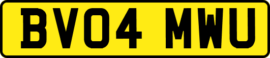 BV04MWU