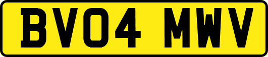 BV04MWV