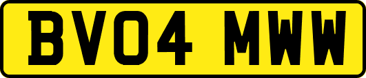 BV04MWW