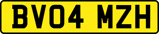 BV04MZH