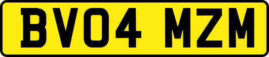 BV04MZM