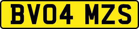 BV04MZS