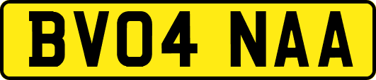 BV04NAA