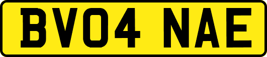 BV04NAE