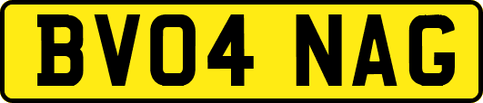 BV04NAG