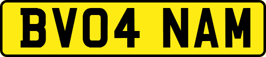 BV04NAM