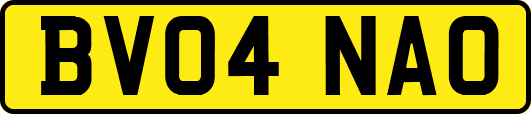 BV04NAO