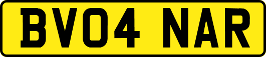 BV04NAR