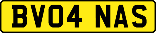 BV04NAS