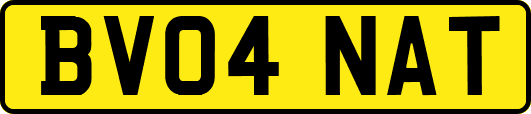 BV04NAT