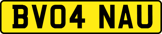 BV04NAU