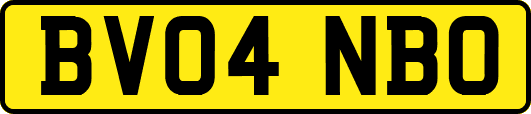 BV04NBO