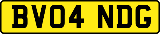 BV04NDG