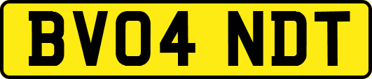 BV04NDT