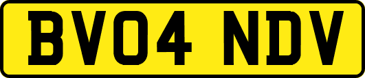 BV04NDV