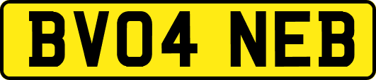 BV04NEB