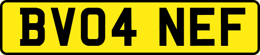 BV04NEF
