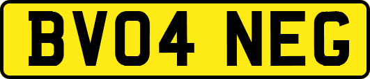BV04NEG