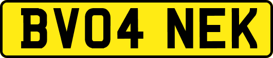BV04NEK