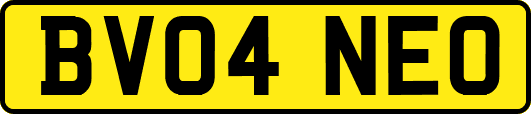 BV04NEO